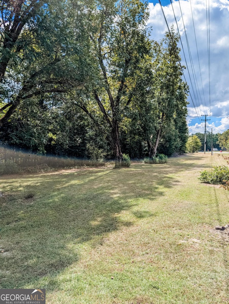 3300 Hamlin Road Lizella - Photo 45