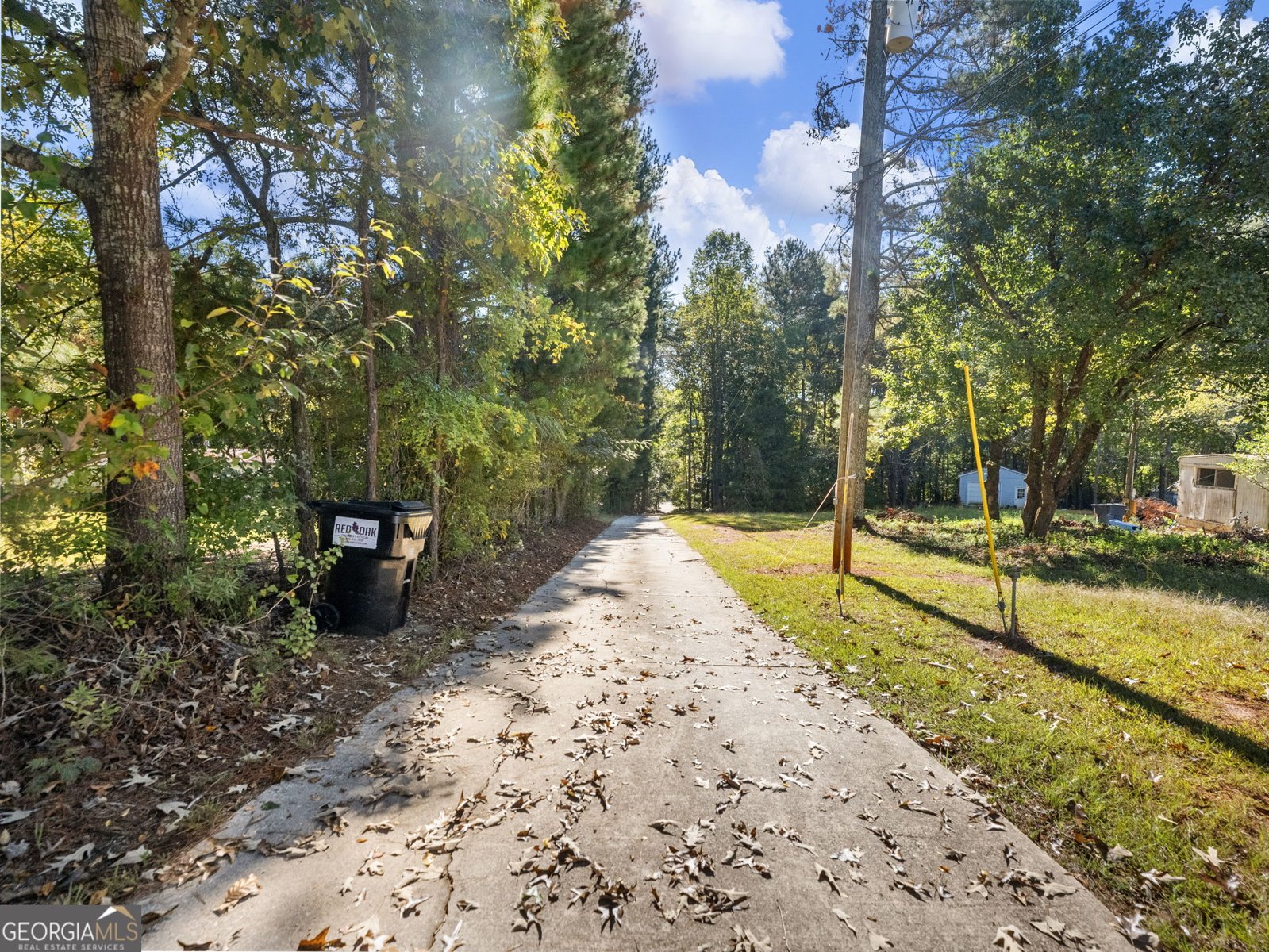 7389 Williams Road Flowery Branch - Photo 59