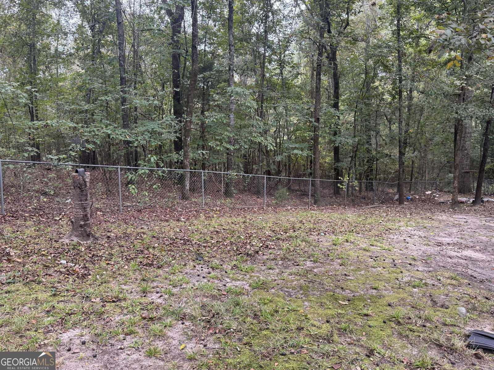 158 Alpine Drive Byron - Photo 26