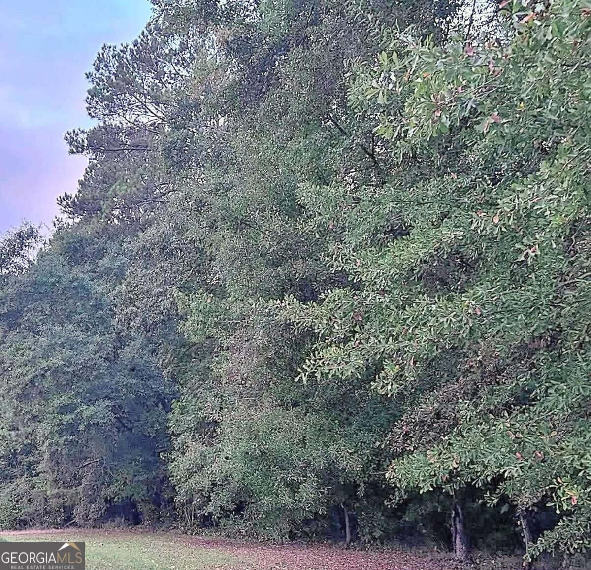 1815 Midway Church Road Newborn - Photo 25
