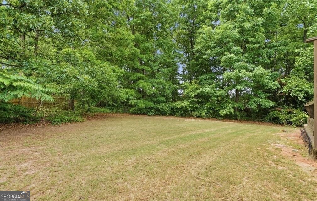 1700 Rising View Circle McDonough - Photo 27