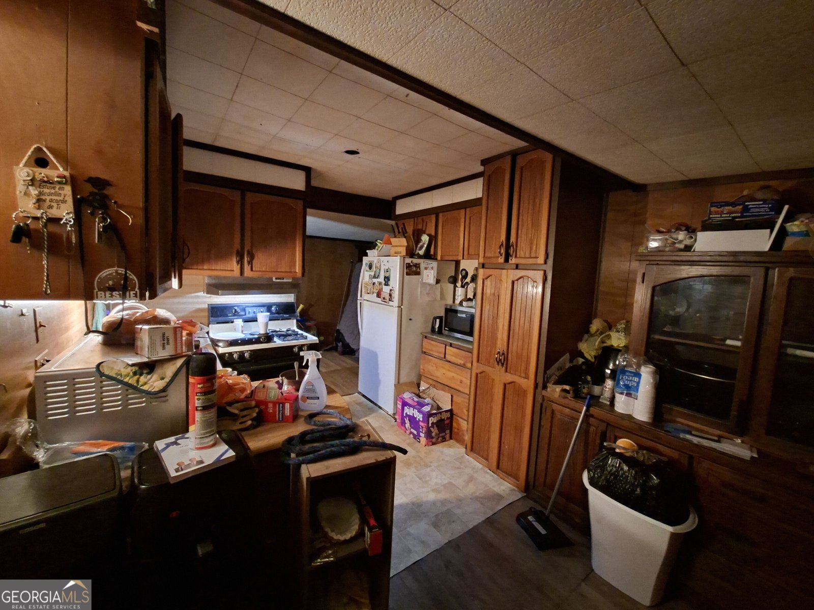 212 Horseshoe Bend Circle Griffin - Photo 9