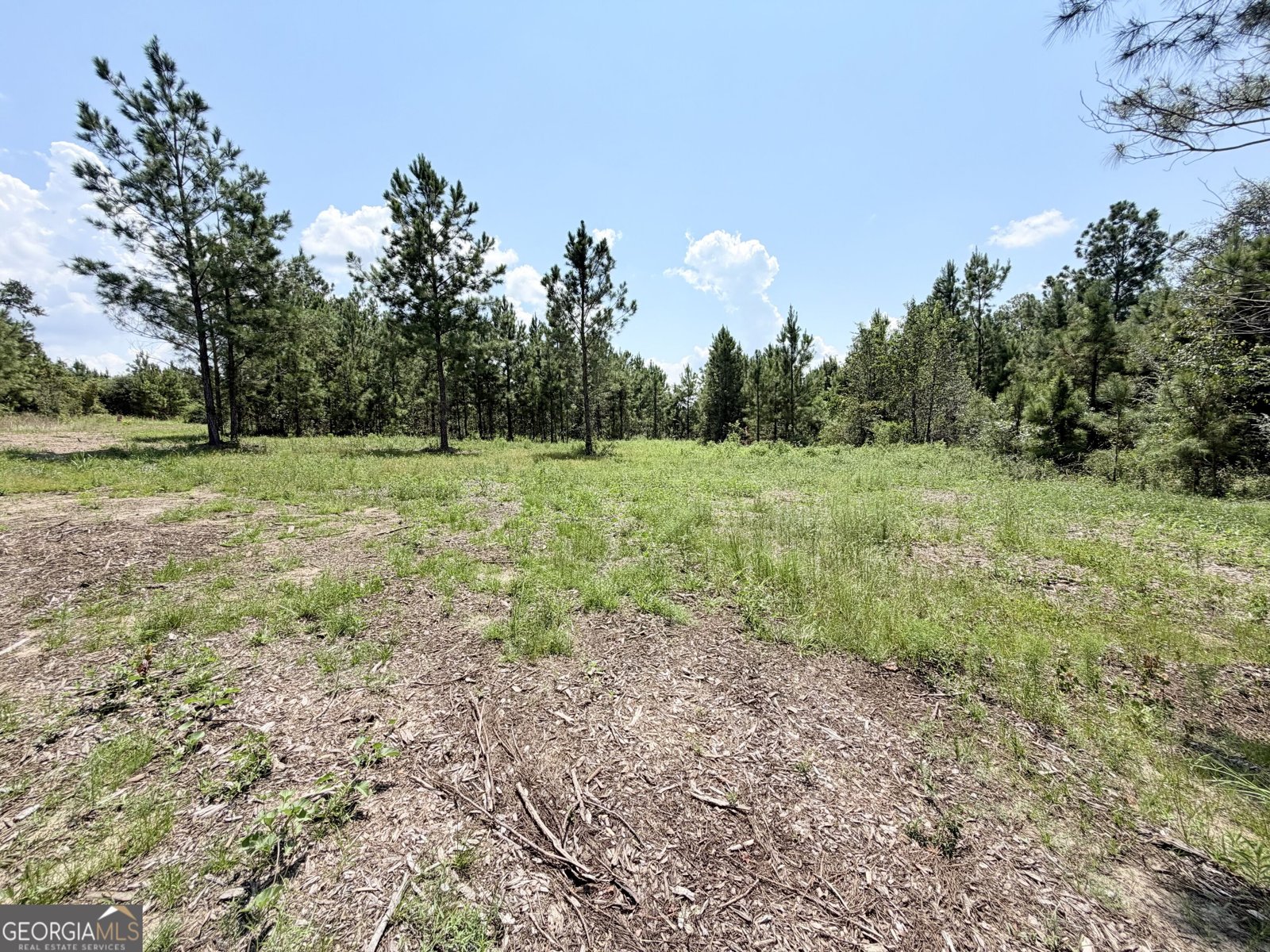 68 McLean Road Lumber City - Photo 41