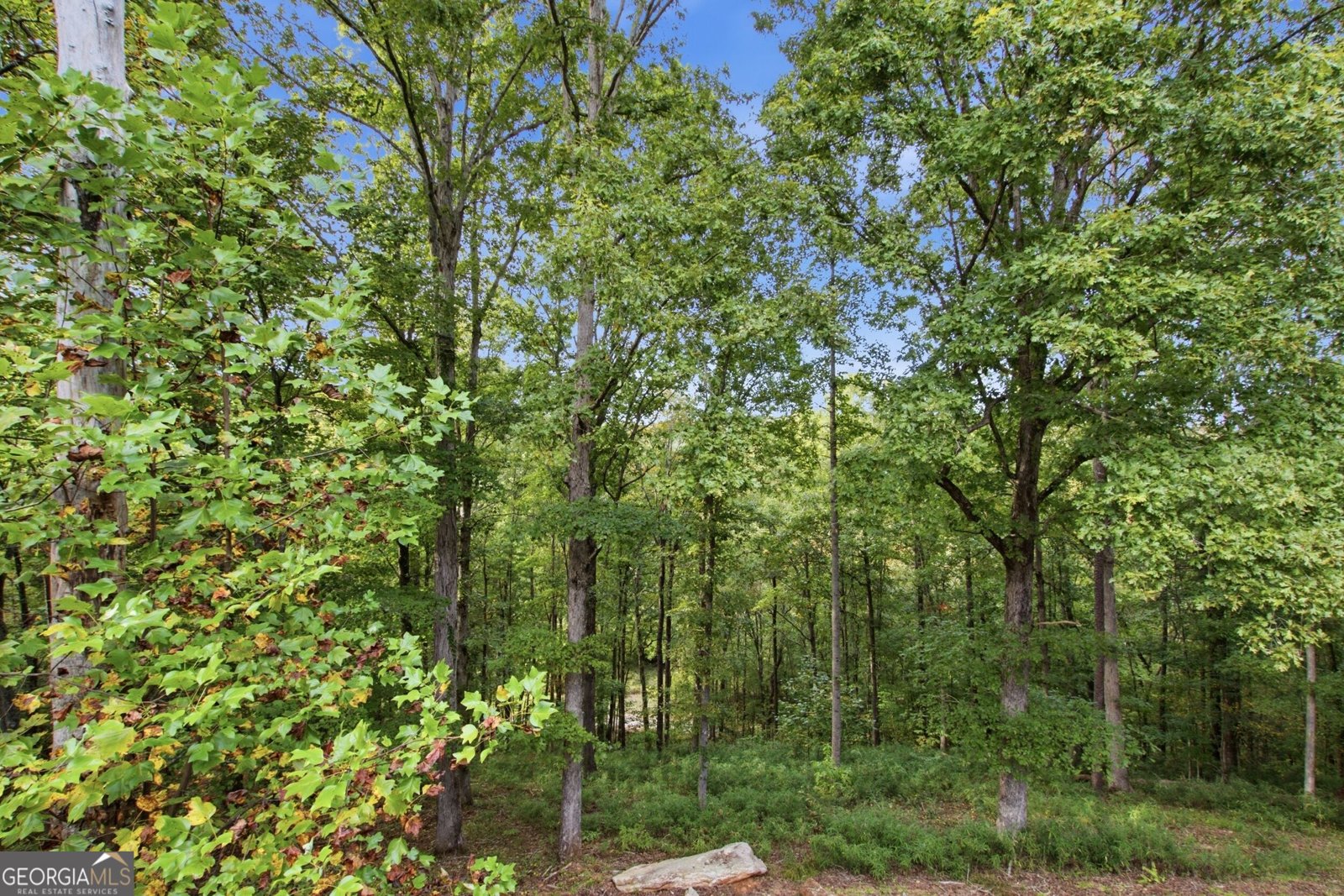 699 Cobblestone Lane Demorest - Photo 37