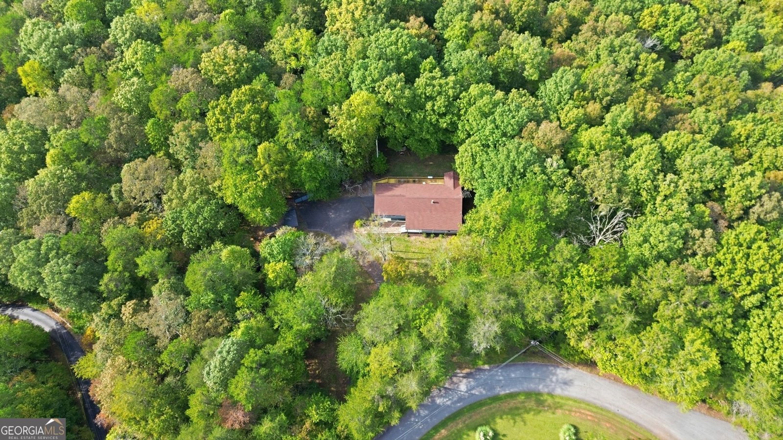 699 Cobblestone Lane Demorest - Photo 47