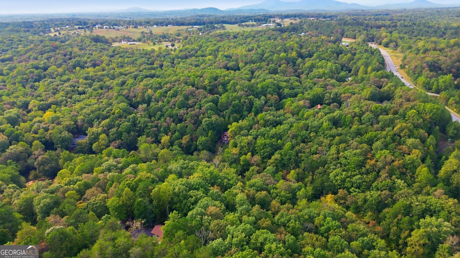 699 Cobblestone Lane Demorest - Photo 48
