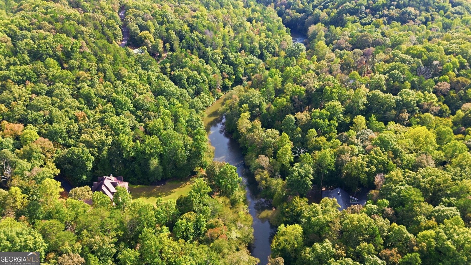 699 Cobblestone Lane Demorest - Photo 49