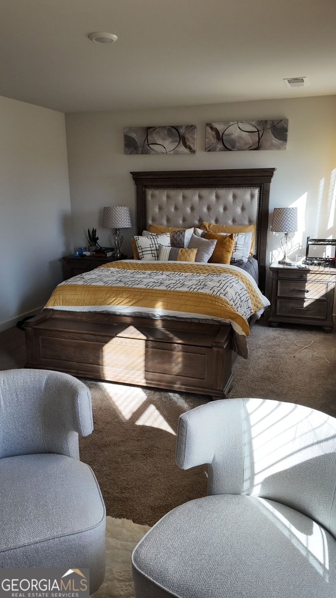 498 daffodil Lane McDonough - Photo 13
