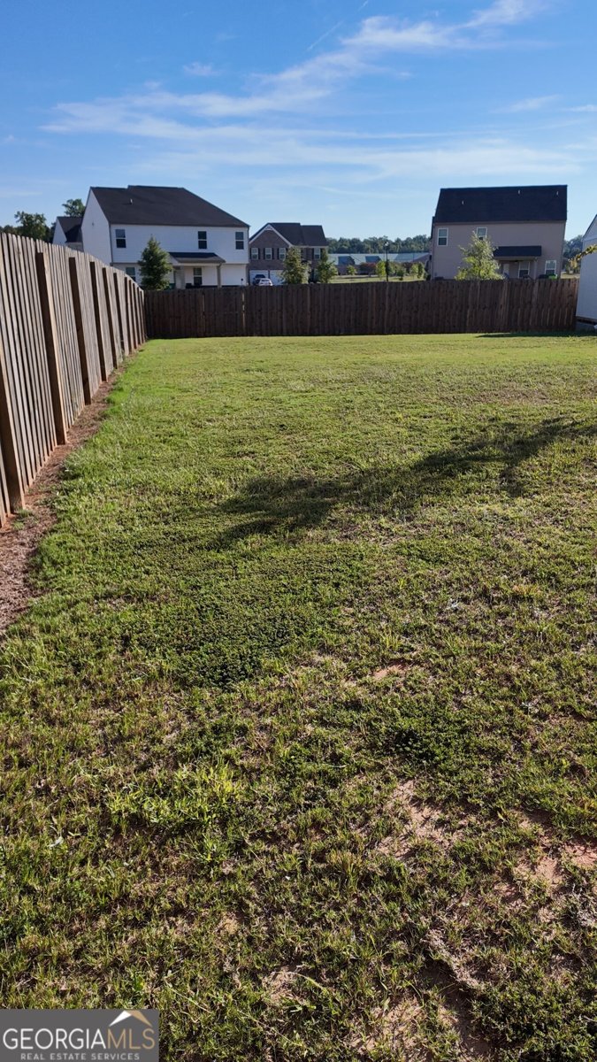 498 daffodil Lane McDonough - Photo 30
