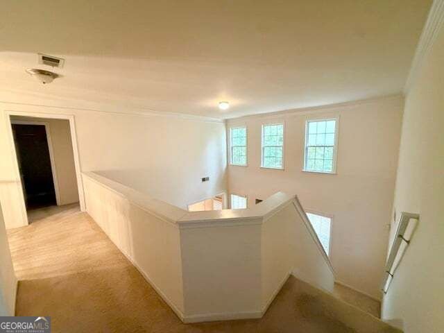 1820 Cedar Walk Lane Conley - Photo 32