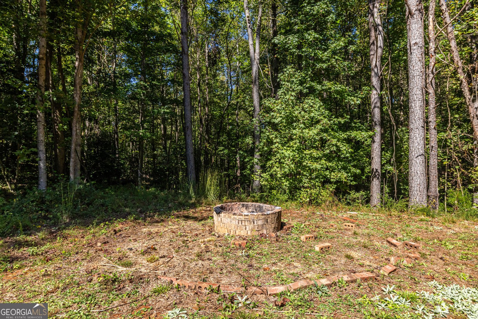 2154 Grandview Road Jasper - Photo 49
