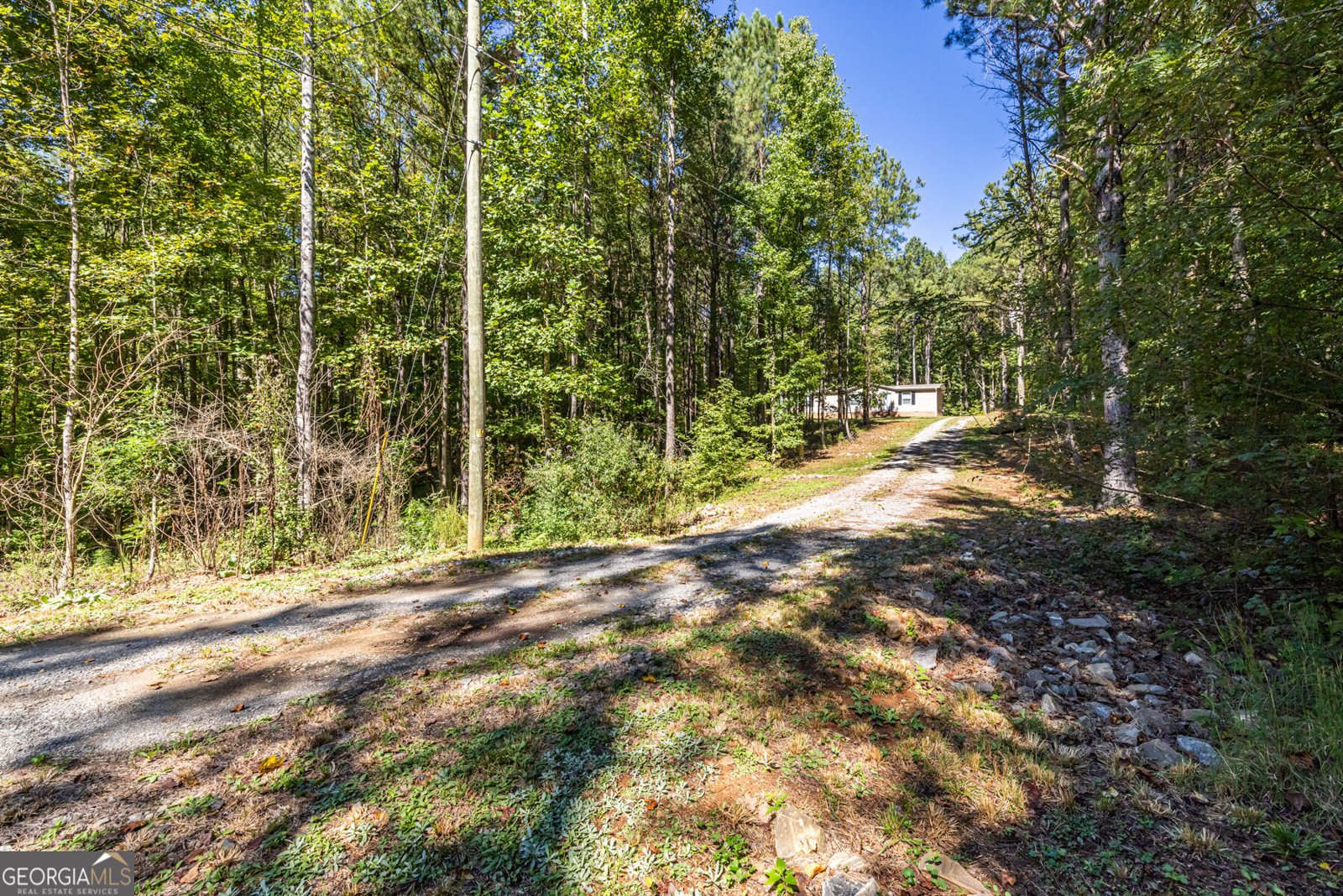 2154 Grandview Road Jasper - Photo 7