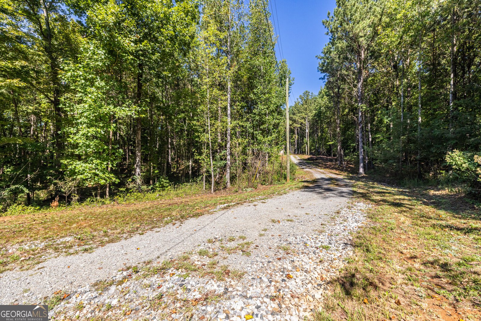 2154 Grandview Road Jasper - Photo 8