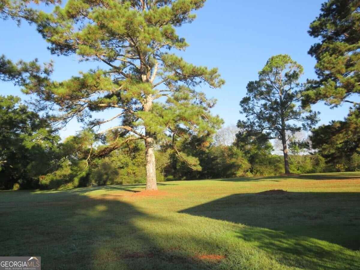 1020 Cave Springs Road Cedartown - Photo 7