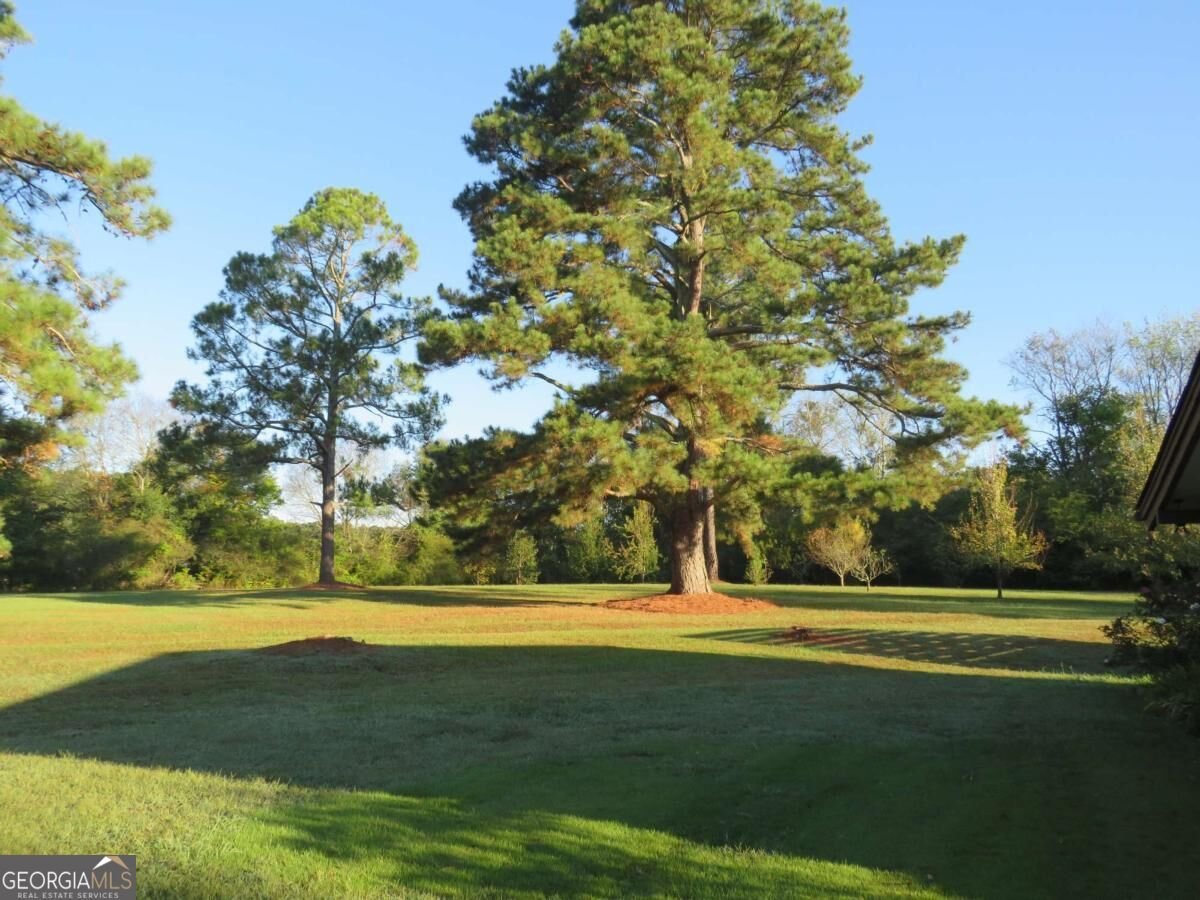 1020 Cave Springs Road Cedartown - Photo 8