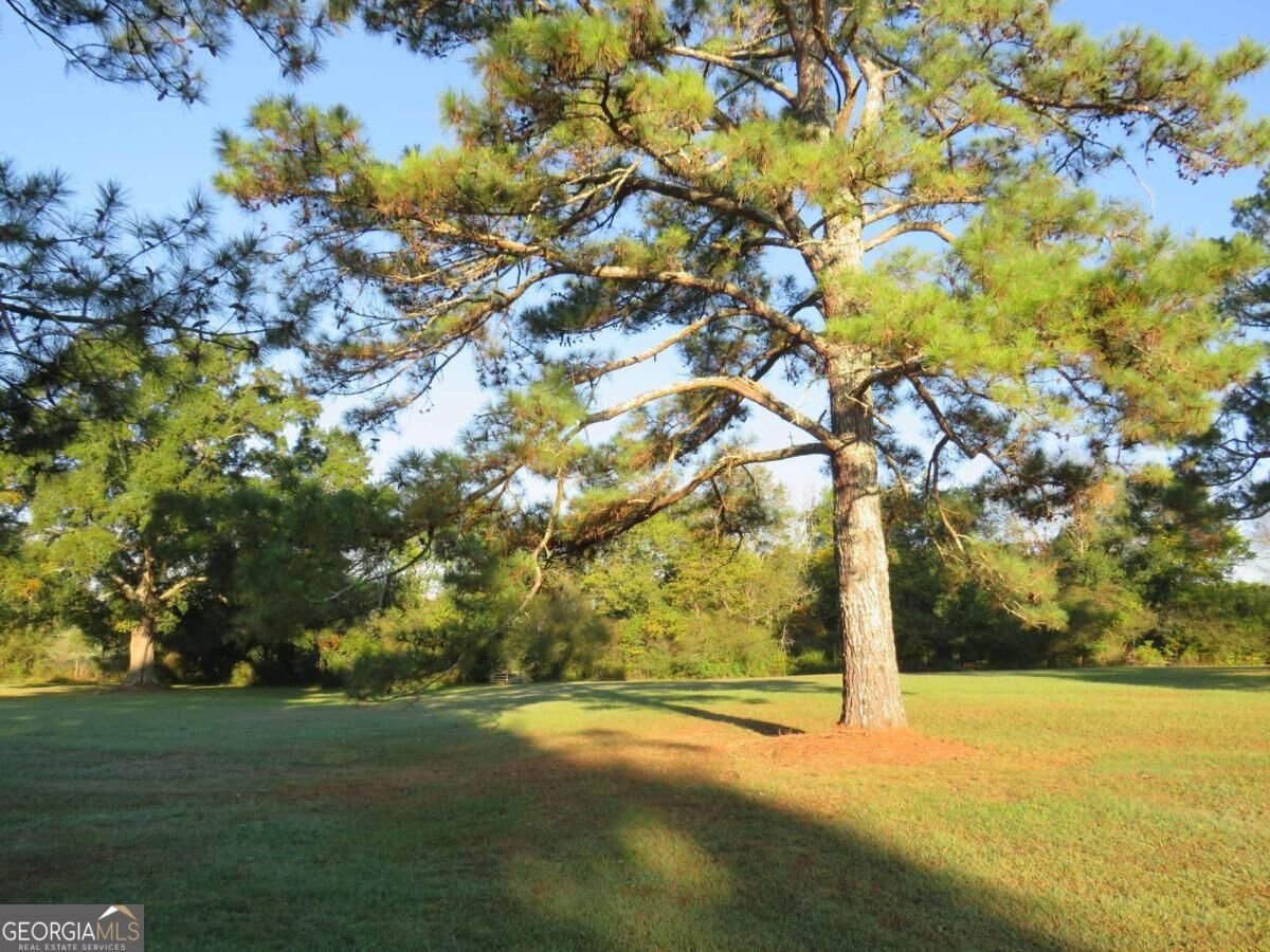 1020 Cave Springs Road Cedartown - Photo 9