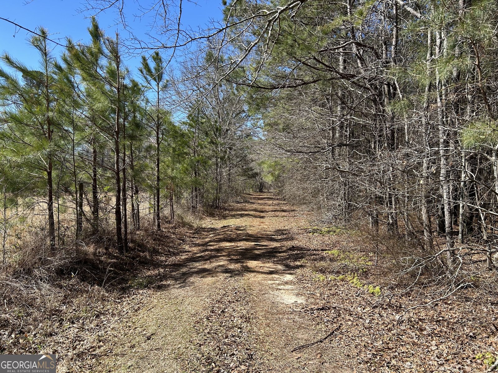 150 Charles Painter Road Villa Rica - Photo 32