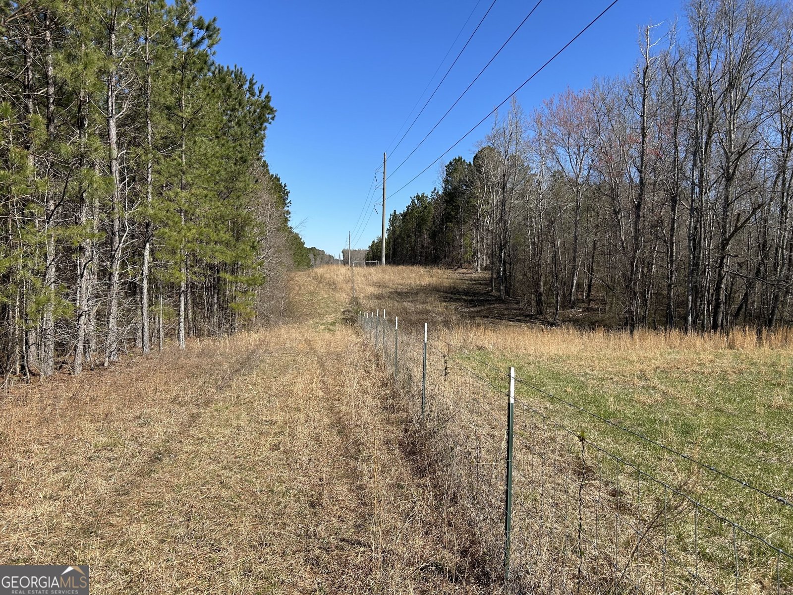 150 Charles Painter Road Villa Rica - Photo 37