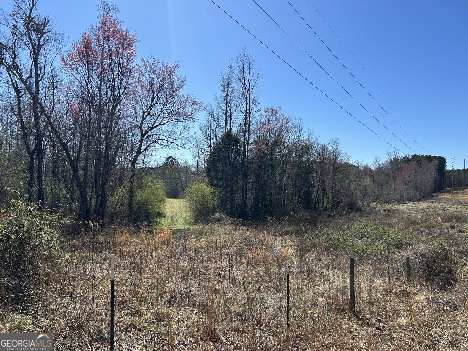 150 Charles Painter Road Villa Rica - Photo 38