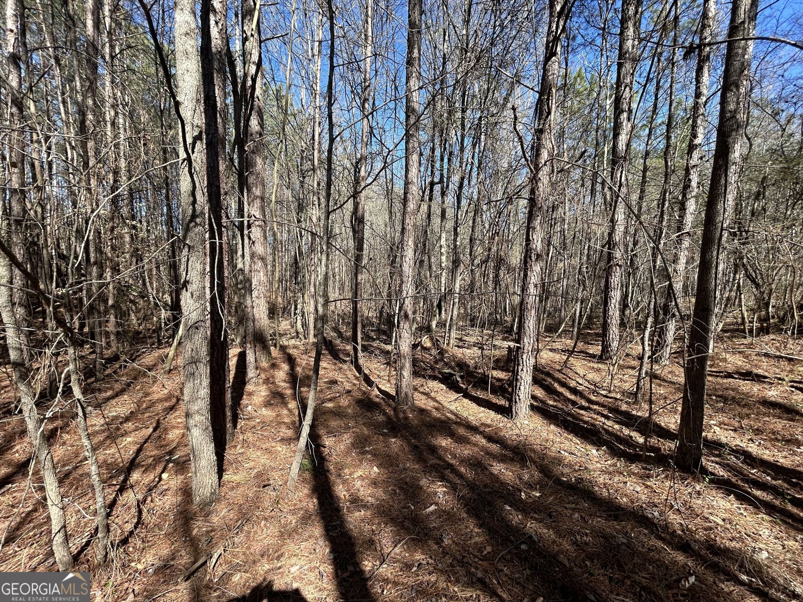 150 Charles Painter Road Villa Rica - Photo 40