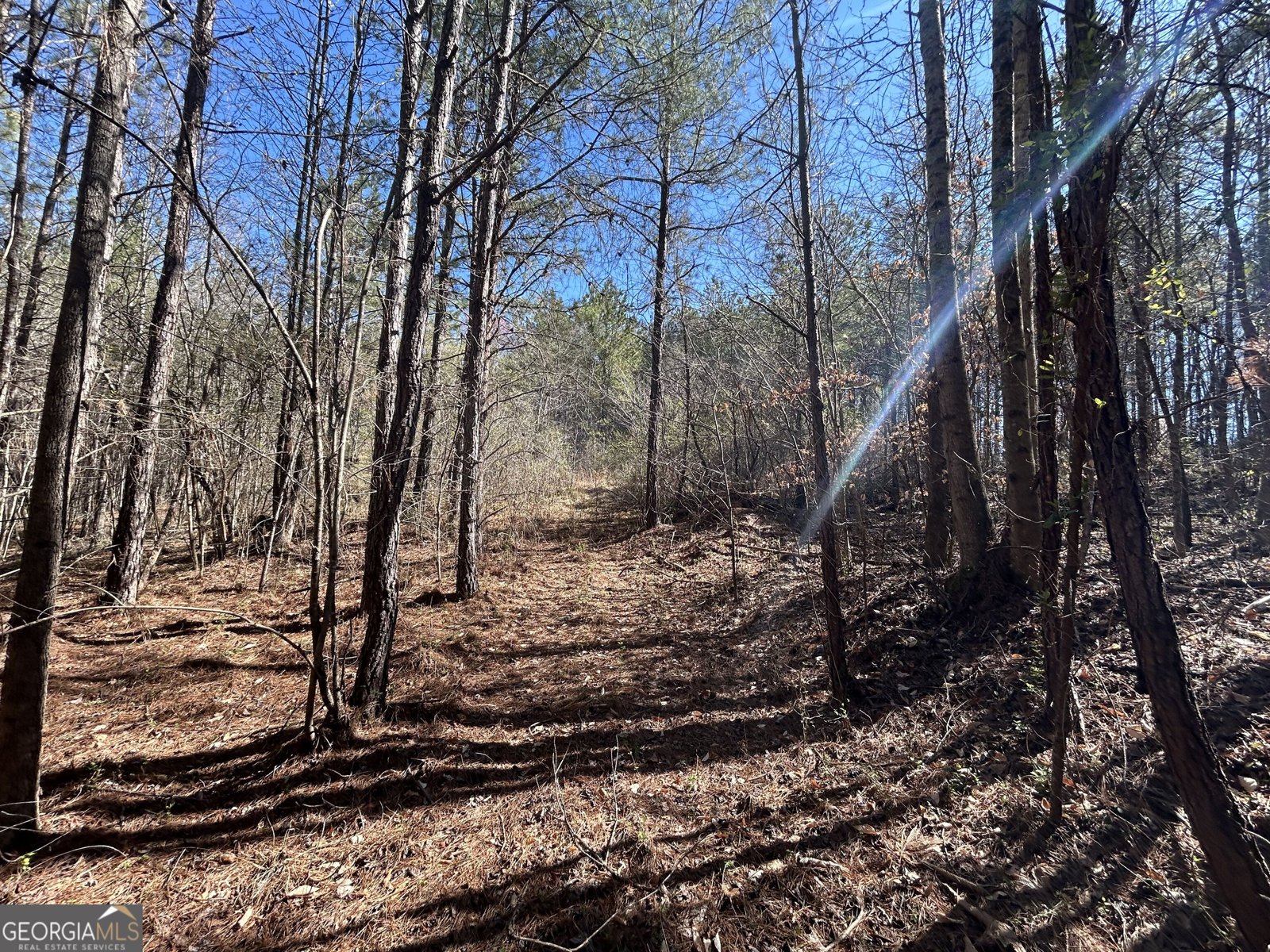 150 Charles Painter Road Villa Rica - Photo 41