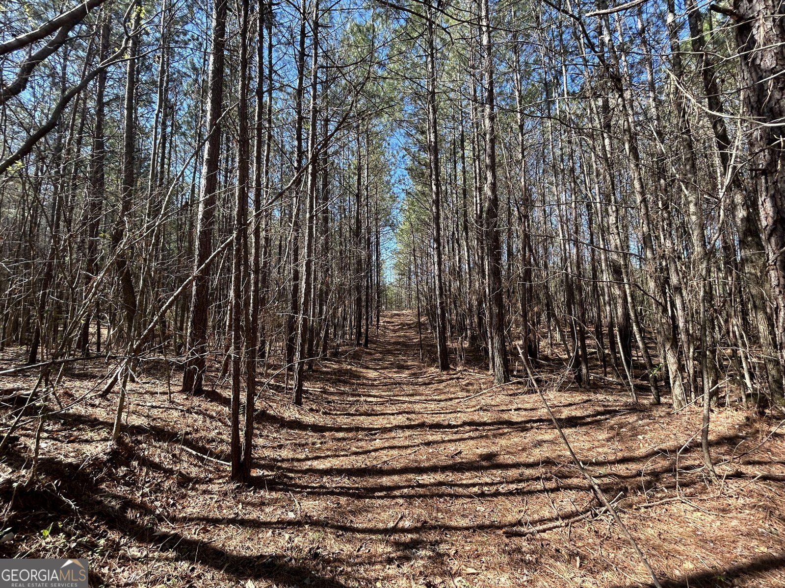 150 Charles Painter Road Villa Rica - Photo 42