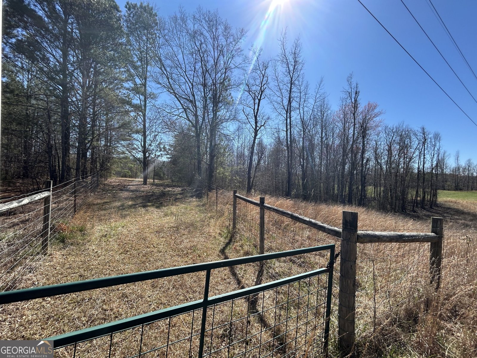 150 Charles Painter Road Villa Rica - Photo 43