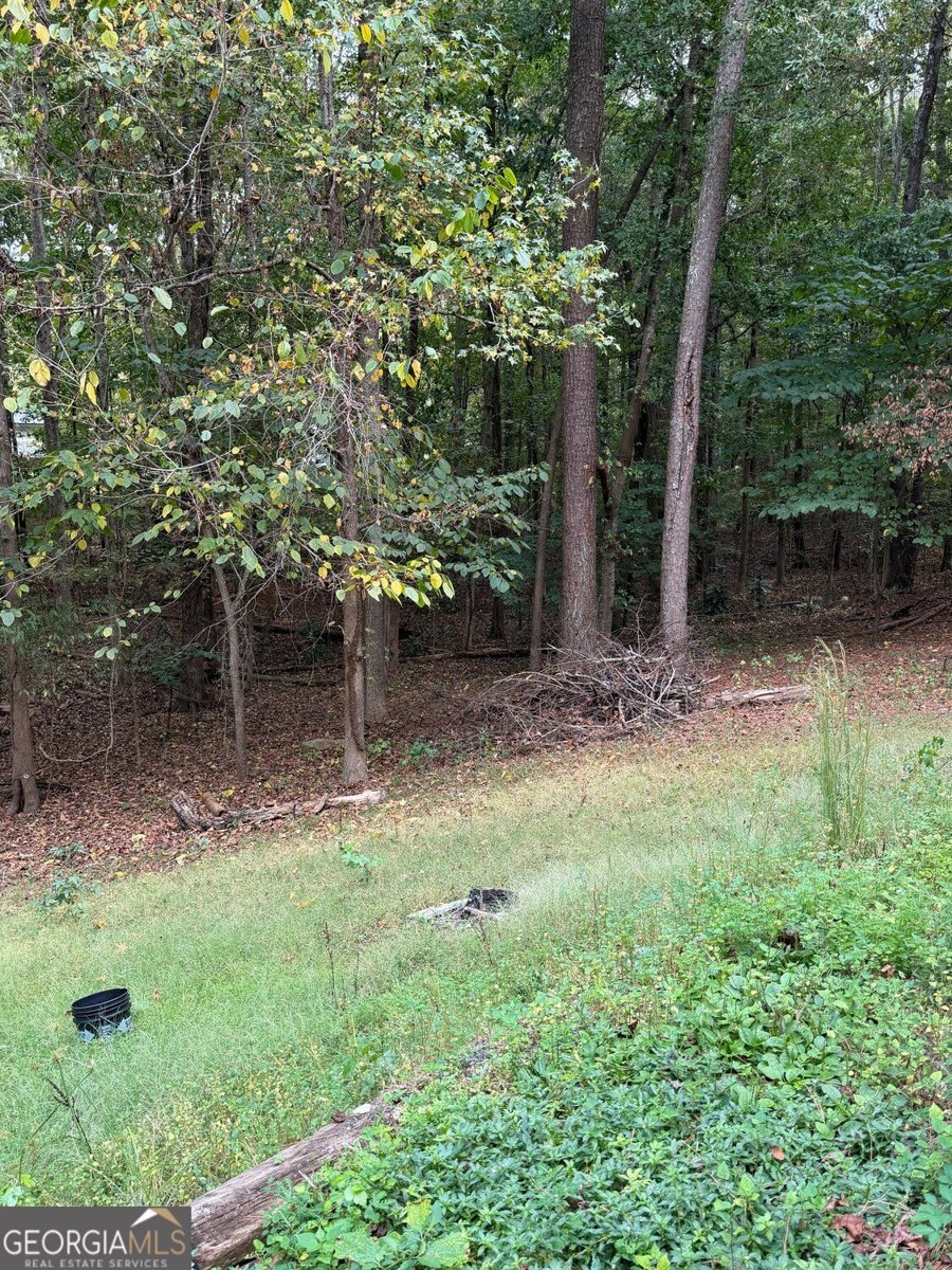 425 Falcon Circle Monticello - Photo 23