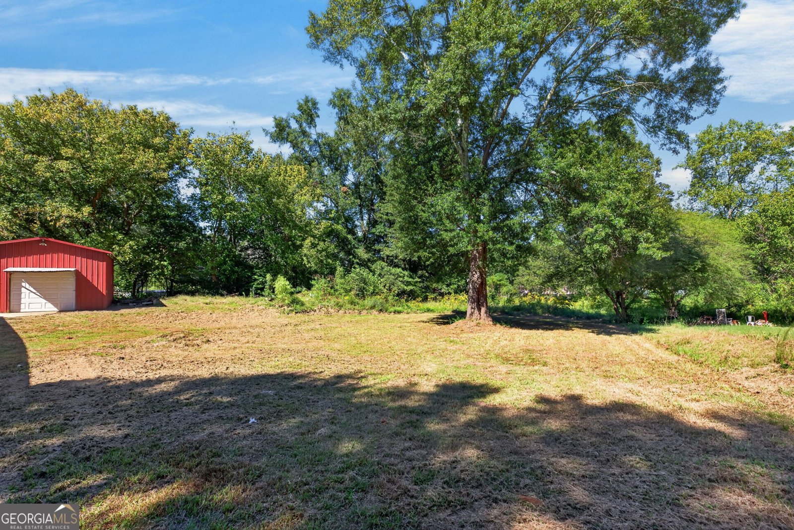 813 Tyus Road Bowdon - Photo 29