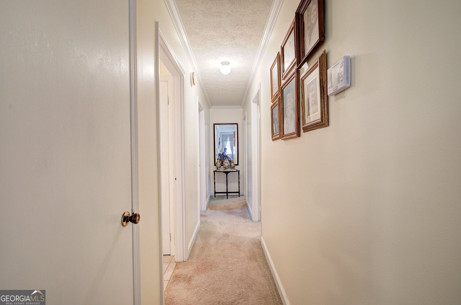 255 State Highway 20 SPUR Cartersville - Photo 16