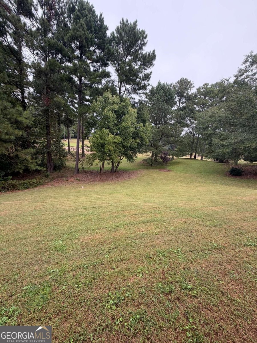 2588 Chipping Court Villa Rica - Photo 51