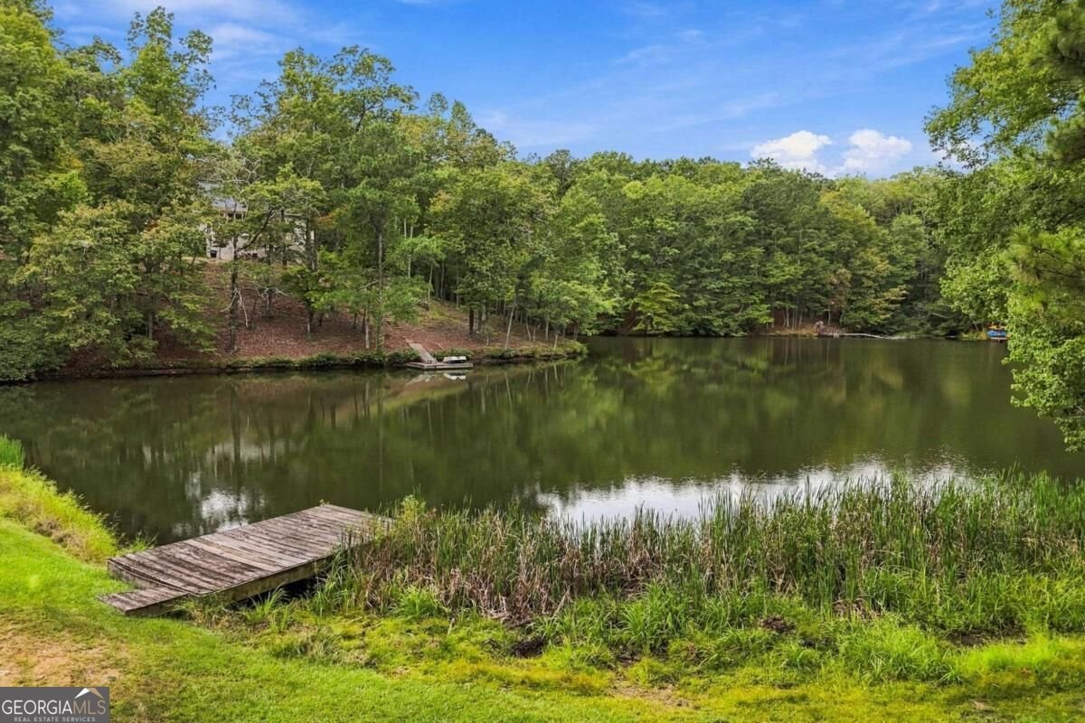 226 Arrow Wood Drive Waleska - Photo 17