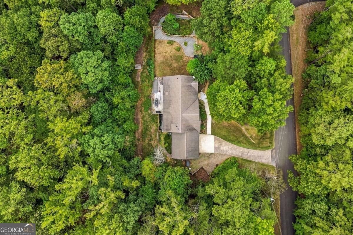 226 Arrow Wood Drive Waleska - Photo 44