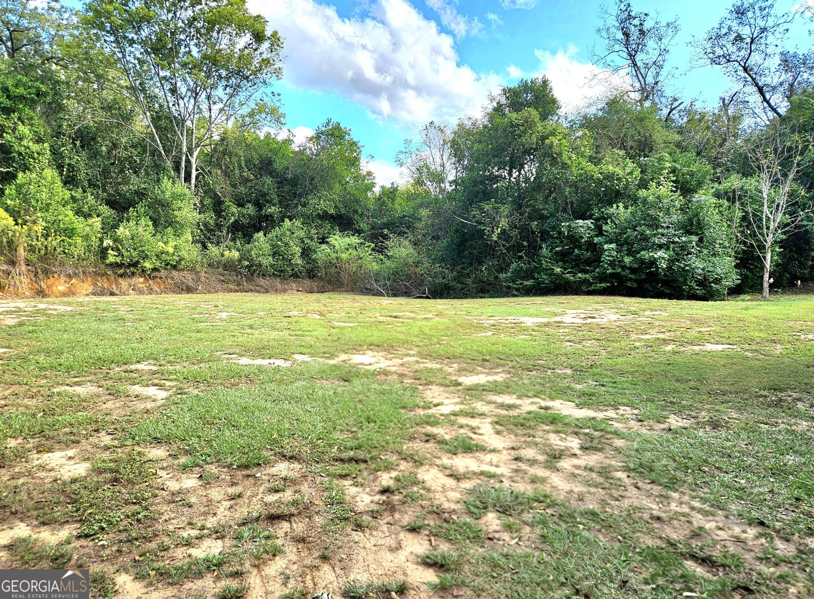 1052 Highway 26 Buena Vista - Photo 40