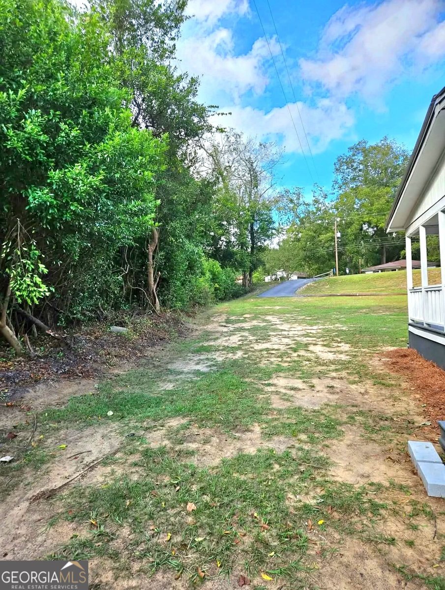 1052 Highway 26 Buena Vista - Photo 43