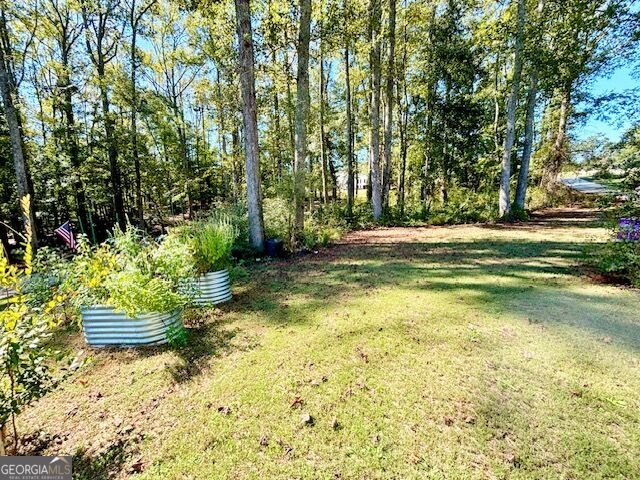 1168 Hannahs Mill Road Thomaston - Photo 33