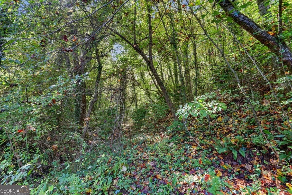 138 Taylors Chapel Road Rabun Gap - Photo 47