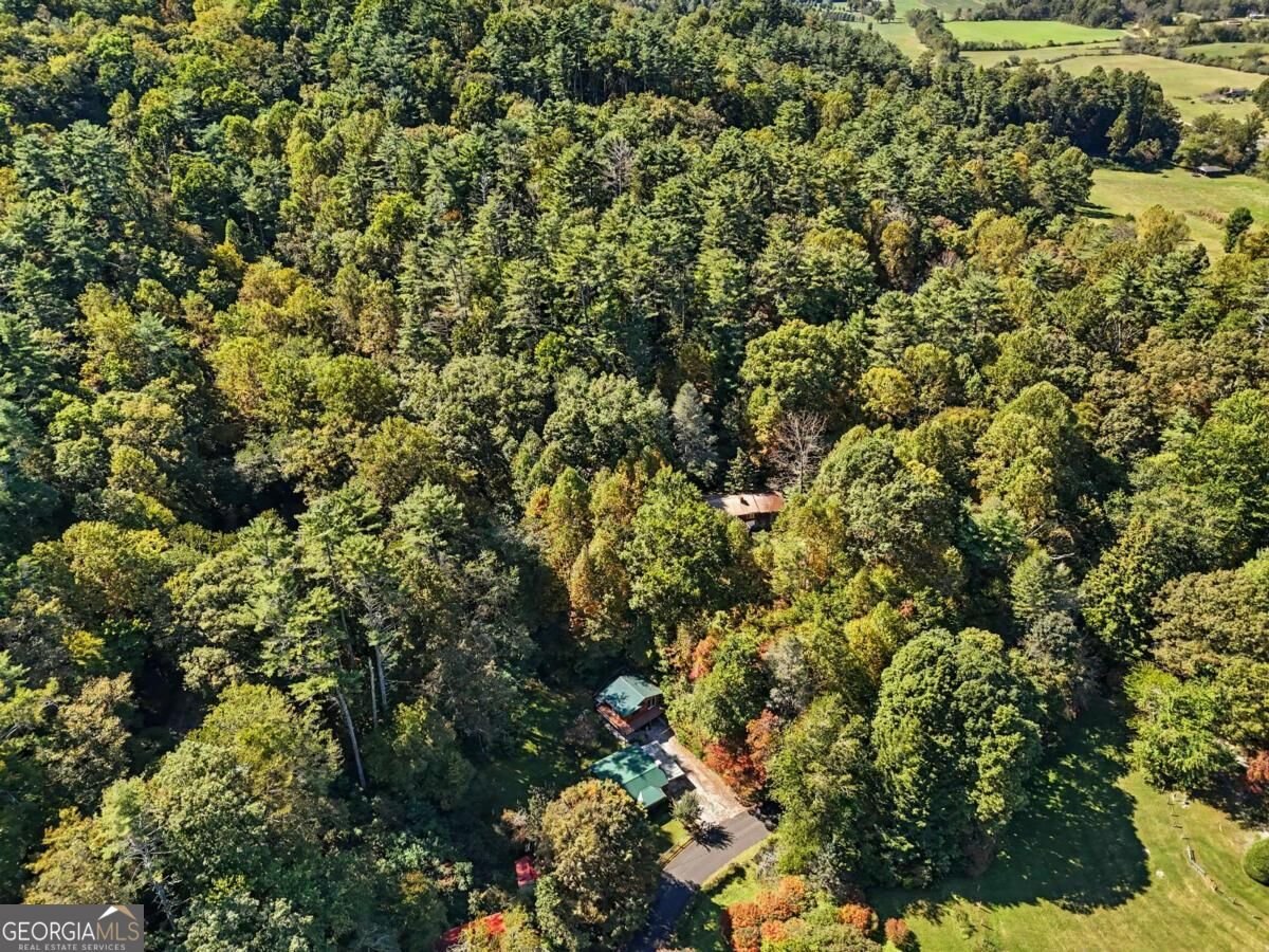 138 Taylors Chapel Road Rabun Gap - Photo 49