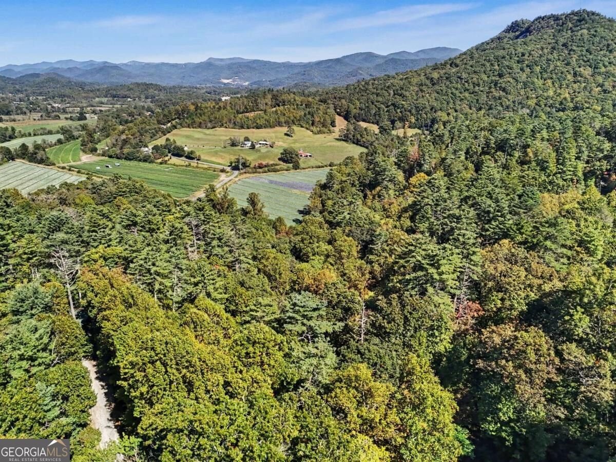 138 Taylors Chapel Road Rabun Gap - Photo 50