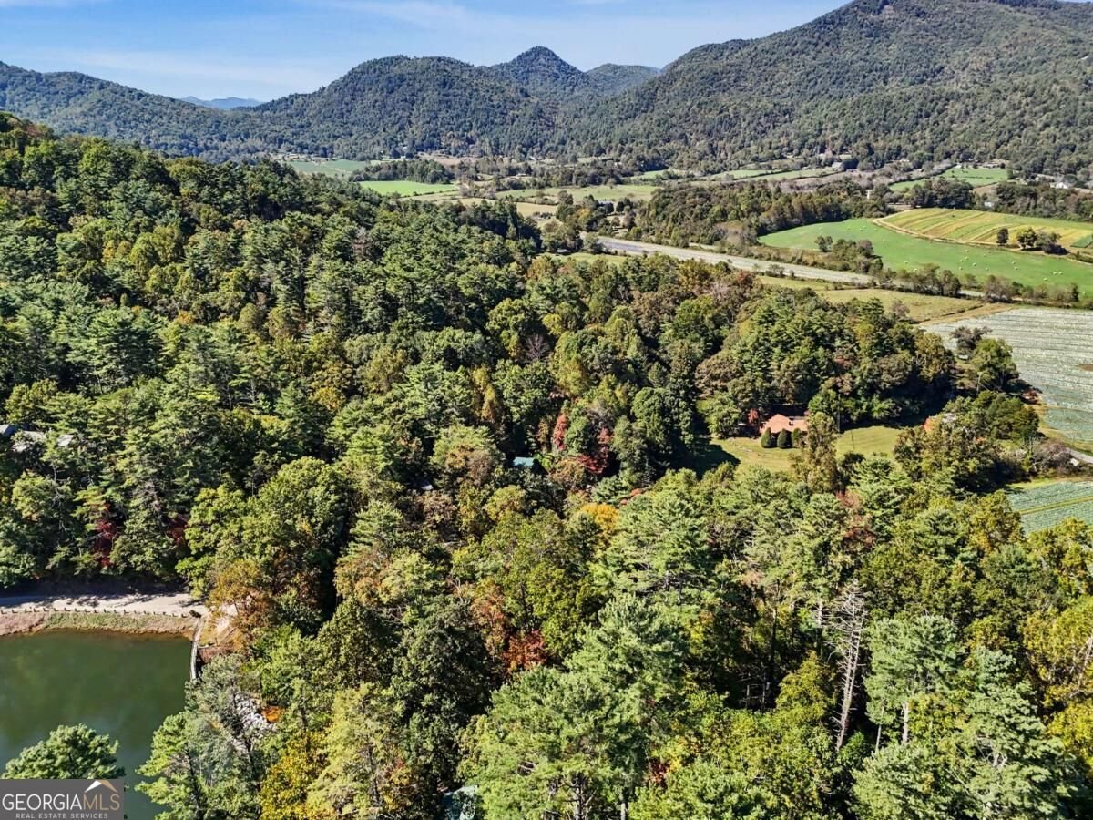 138 Taylors Chapel Road Rabun Gap - Photo 51