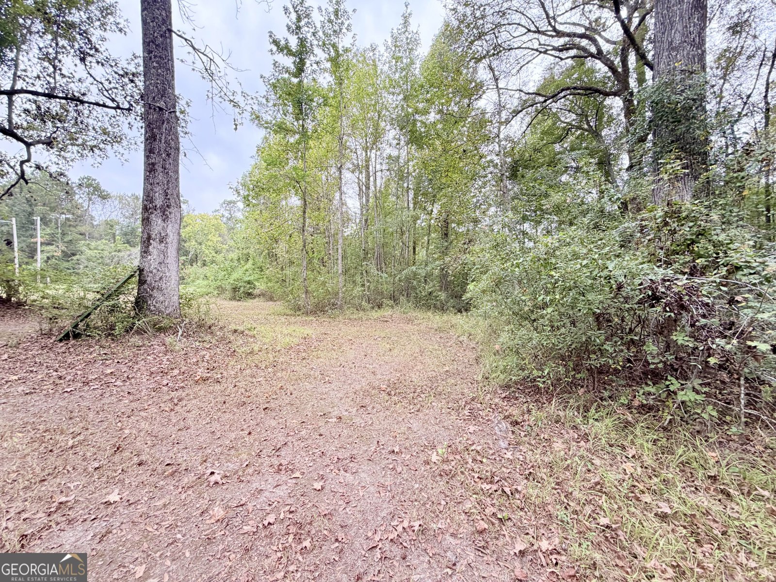 2435 Ga Highway 46 Dublin - Photo 39