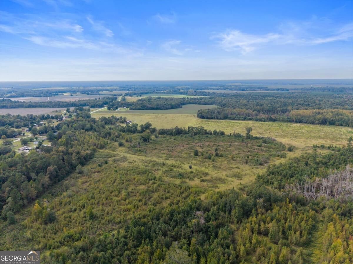 1031 Scotts Store Road Millen - Photo 10
