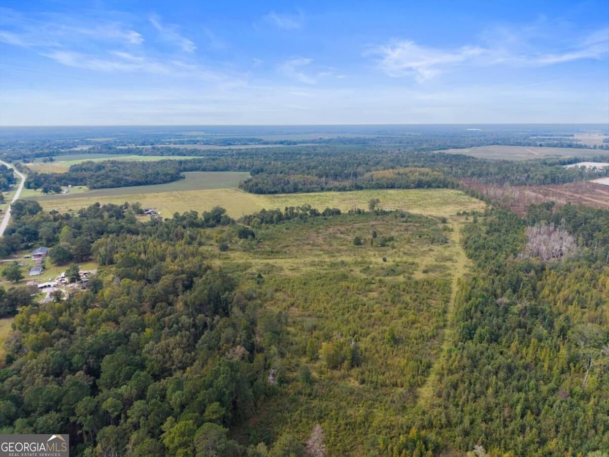 1031 Scotts Store Road Millen - Photo 11