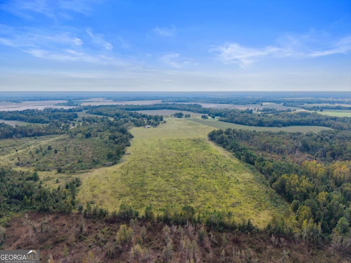 1031 Scotts Store Road Millen - Photo 12