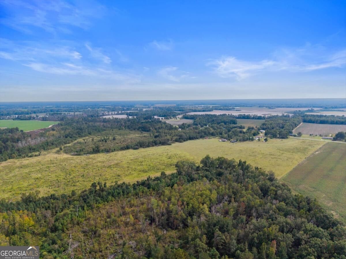 1031 Scotts Store Road Millen - Photo 13