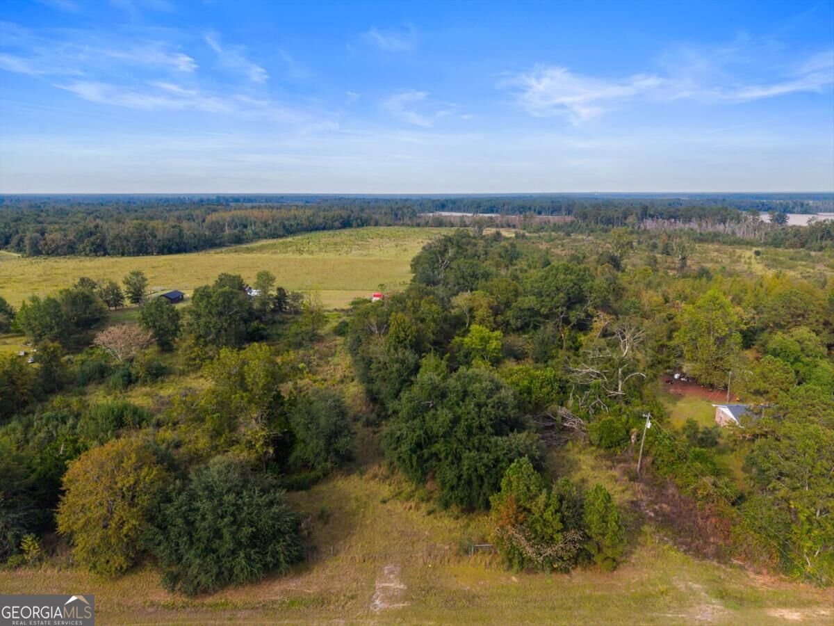 1031 Scotts Store Road Millen - Photo 35
