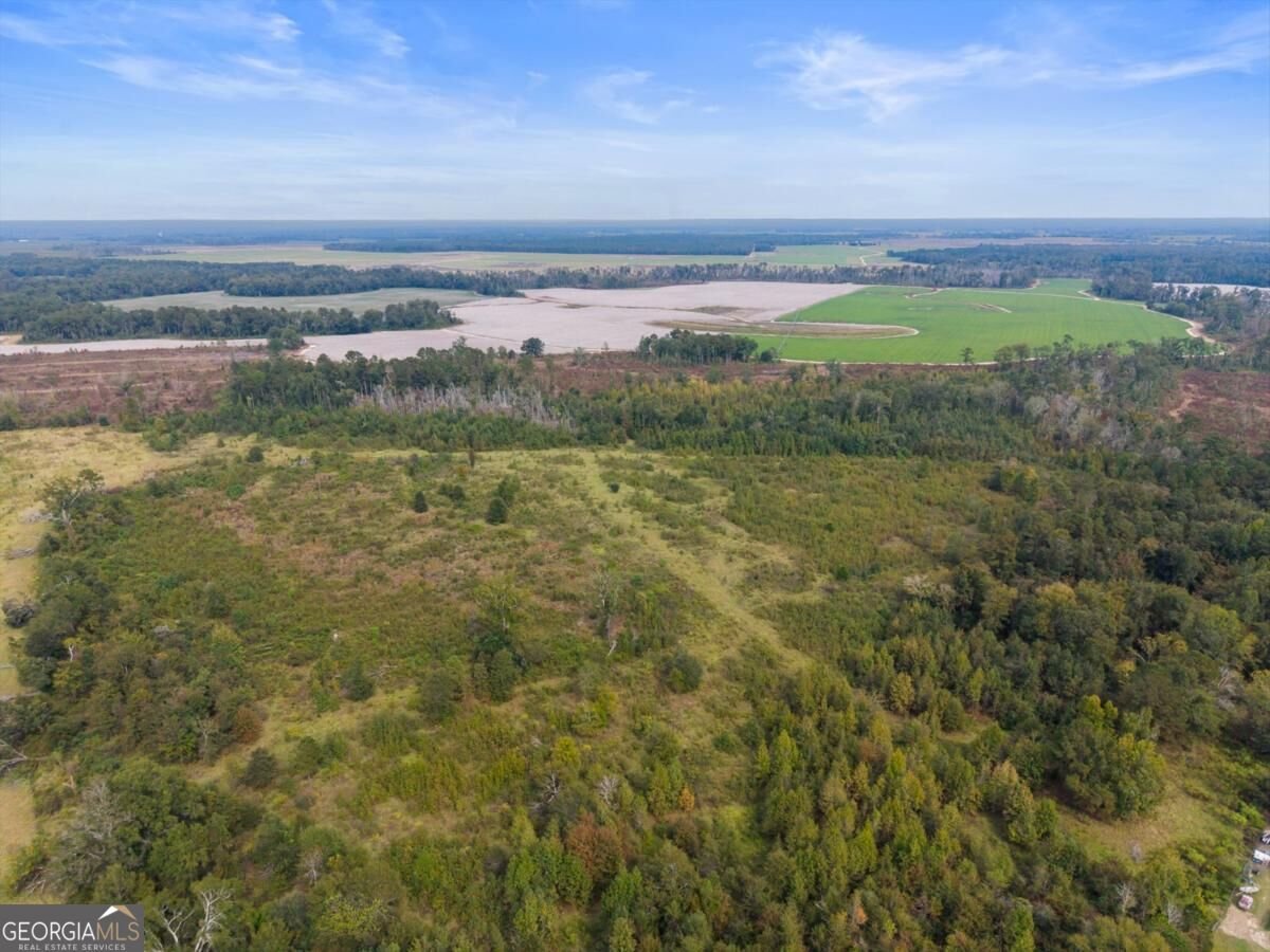 1031 Scotts Store Road Millen - Photo 8