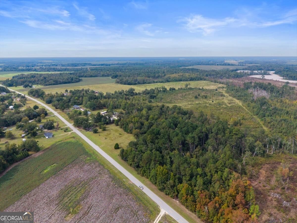 1031 Scotts Store Road Millen - Photo 9