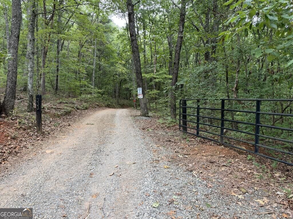 333 Orchard Loop Road Ellijay - Photo 11