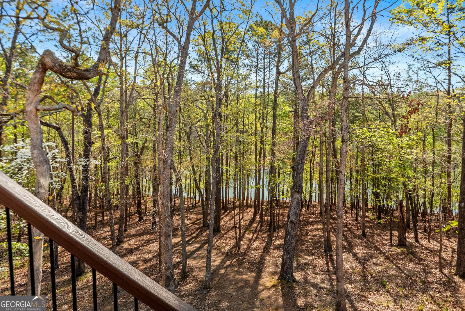 6221 Random Winds Bluff Gainesville - Photo 82